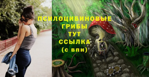прущая мука Армянск