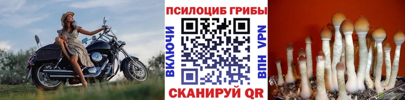 Галлюциногенные грибы мухоморы  Снежногорск 